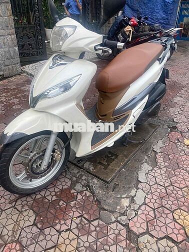 Xe Shark trắng mới tinh