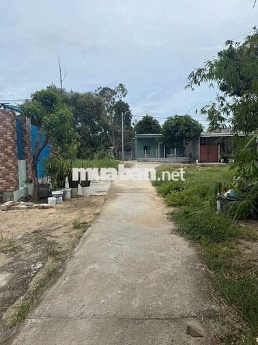 Đất Hòa Quý - diện tích lớn - cần bán gấp