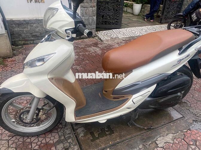 Xe Shark trắng mới tinh