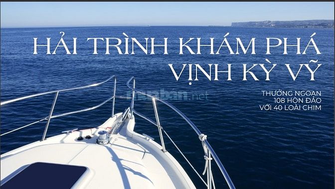 Flamingo Thái Nguyên – Biểu tượng nghỉ dưỡng ven Hồ Núi Cốc