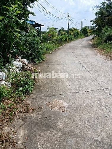 Bán đất DT 2749 m2 mặt tiền đường 711 ấp Vân Hàn, xã Trung Lập Thượng