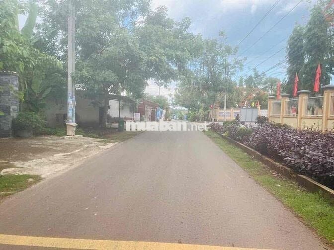 bán 1000m2 full hồng ngang 15m nở hậu 16m,mặt tiền đường nhựa Xuân Lộc