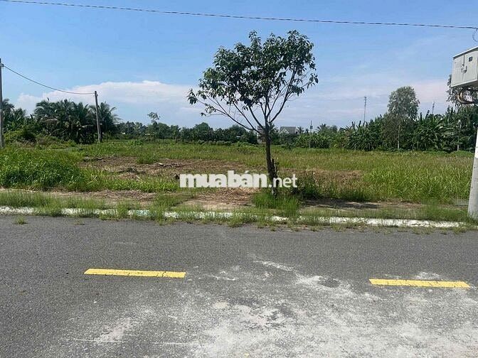 Đất đẹp gần biển Đ.871C , Gò Công Đông , Tiền giang , Full thổ , SHR