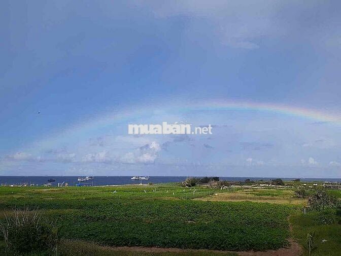 Cho thuê nhà view biển rộng đón bình minh sớm nhất VN