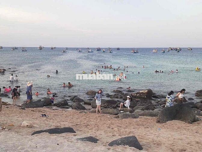 Cho thuê nhà view biển rộng đón bình minh sớm nhất VN