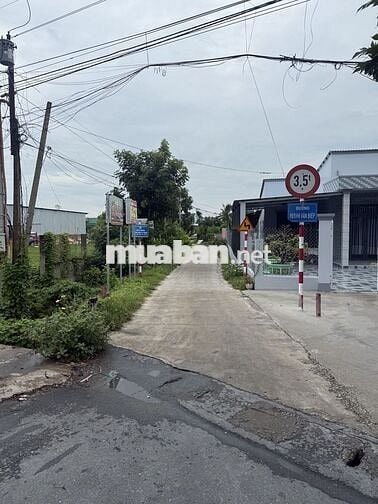 Bán đất ở Đường Huỳnh Văn Điệp-Chợ Gạo-Tiền Giang