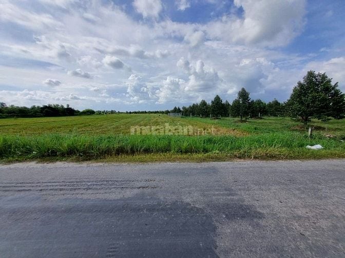 7000m2 có 1600m2 thổ cư. Ngay khu đô thị Phước Đông. 6,2 tỷ