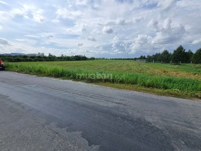 7000m2 có 1600m2 thổ cư. Ngay khu đô thị Phước Đông. 6,2 tỷ