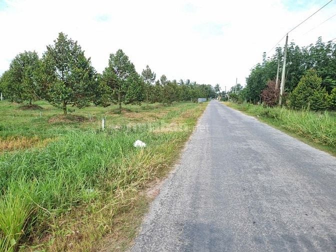 7000m2 có 1600m2 thổ cư. Ngay khu đô thị Phước Đông. 6,2 tỷ