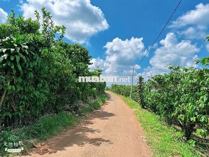 Đất thổ cư Lộc Đức - view núi 1 sào (15mx65m) mặt đường nhựa chỉ 900tr