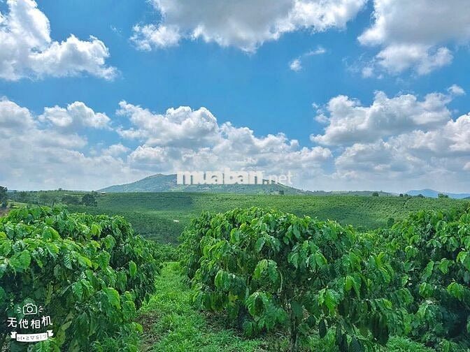 Đất thổ cư Lộc Đức - view núi 1 sào (15mx65m) mặt đường nhựa chỉ 900tr