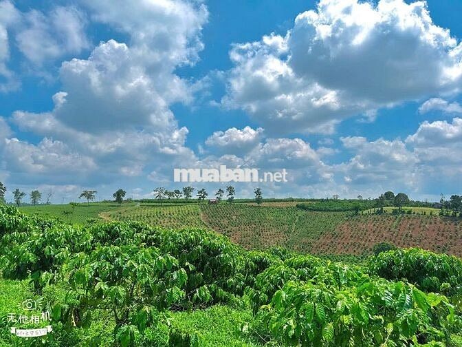 Đất thổ cư Lộc Đức - view núi 1 sào (15mx65m) mặt đường nhựa chỉ 900tr