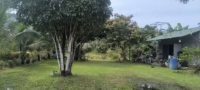 Bán 1,3 mẫu đất Quảng Trị Đà Tẻ giá chỉ 6ty900tr