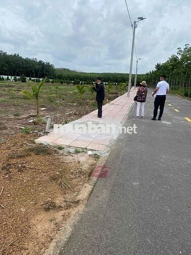 Bán lô đất 2500 m2 nở hậu 28m2 ngay Phú Giáo - TP. HCM giá ngộp