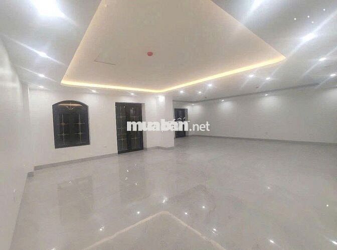 🏡 Cho Thuê Nhà HXH Nguyễn Thái Bình_6,5x25m, Hầm 5 Lầu, Thang Máy.