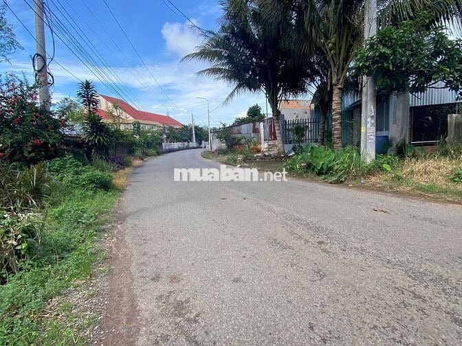 BÁN 213M2 ĐẤT Ở TẠI NÔNG THÔN,ĐẤT CO 8M MẶT TIỀN NHỰA,DÂN CƯ ĐÔNG ĐÚC.