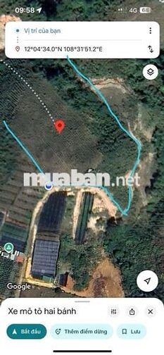 Cắt lỗ bán gấp lô đất view đẹp Dasar lạc dương