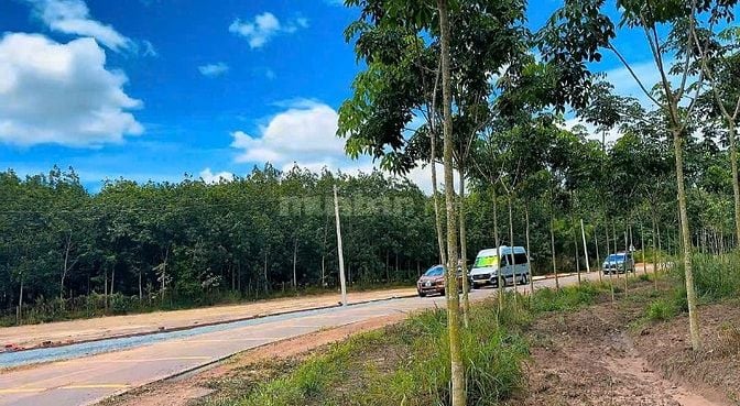 ĐẤT NGỘP TP.HCM-CẦN RA 16 LÔ LIỀN KỀ