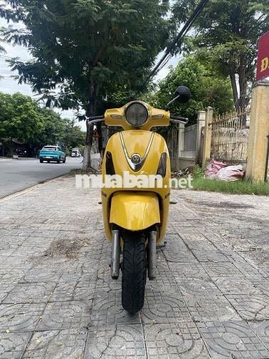 Atila elizabeth biển 43