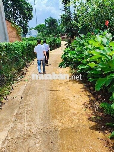 Đất thổ cư 100% DT 5x28m ngay phường Bình Lộc, Đồng Nai chỉ 450tr