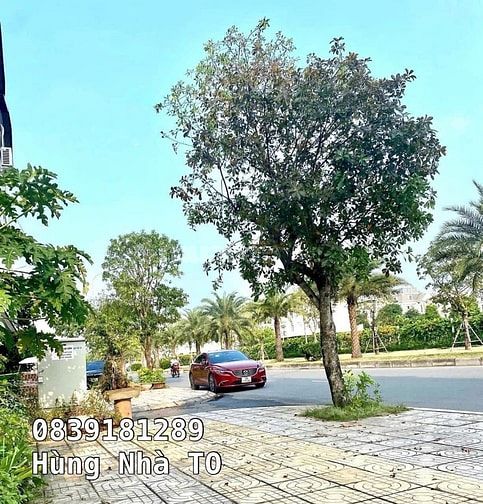 Mặt phố Đào Đình Luyện, Đối diện Vin, Vỉa hè kinh doanh dt 90m2 mt 5m