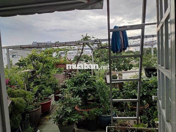 Cho thuê nhà kinh doanh mặt tiền Lê Trọng Tấn, Tây Thạnh, Tân Phú