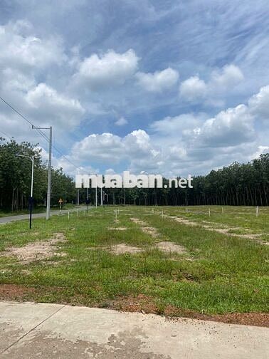 ĐẤT NGAY KHU ĐÔ THỊ MỚI CHƠN THÀNH, GẦN TRUNG TÂM HÀNH CHÍNH