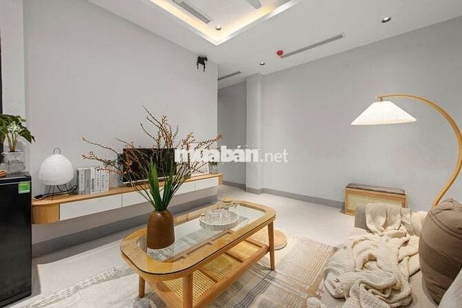 BÁN NHÀ XUÂN DIỆU, TÒA CĂN HỘ TIỀN SIÊU SANG, OTO KINH DOANH