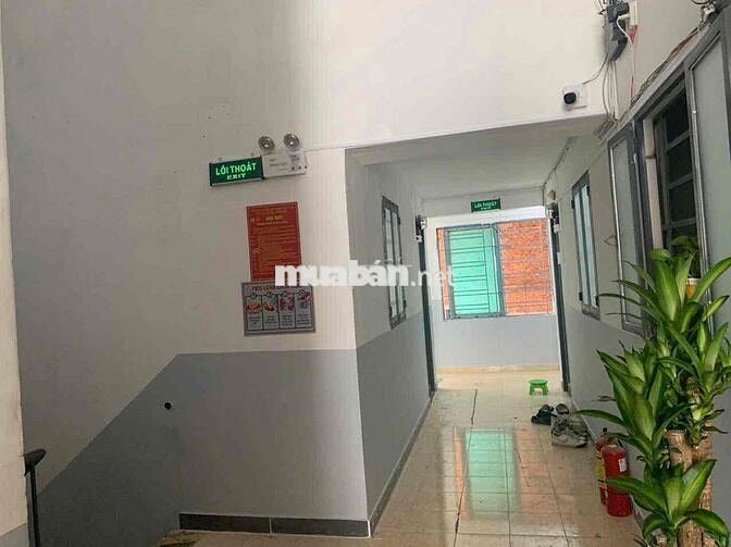 Bán Toà CHDV 50 Phòng Quang Trung