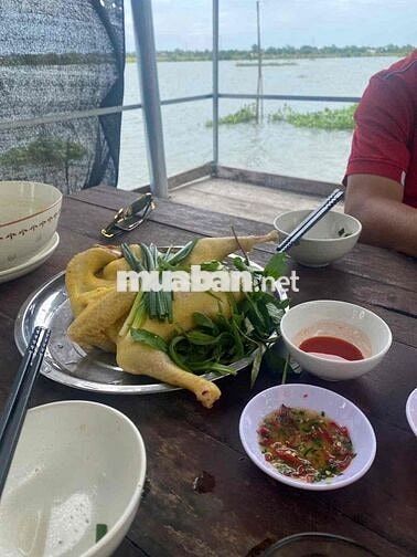 Hàng Đầu Tư F0 Đất Vườn MT ĐT.816 View Kênh