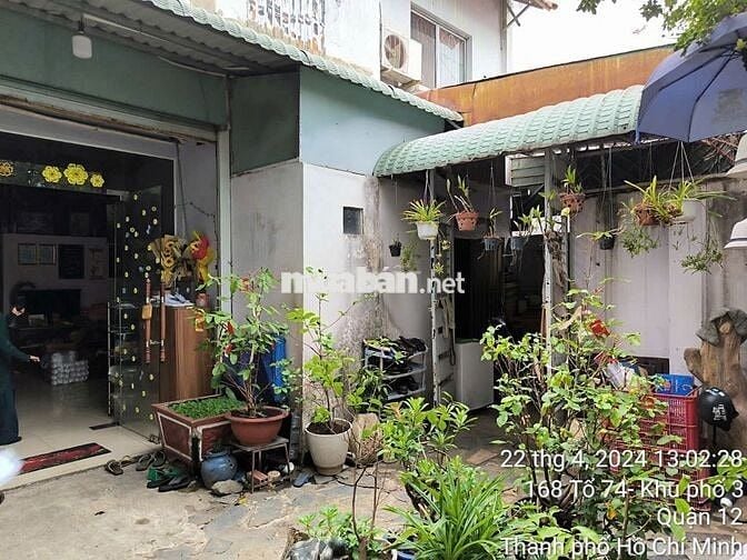 Bán nhà 25m x 16m7, gần QL 22, Trung Mỹ Tây, Quận 12