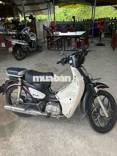 sumotor cub 50cc 2022