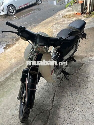 sumotor cub 50cc 2022