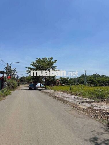 BÁN LÔ ĐẤT NGỘP CHỦ CẮT LỖ TỪ 1TY6 MUA , NAY BÁN 1TY