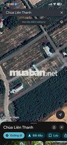 Định giá hộ miếng đất. Hợp lí chốt luôn