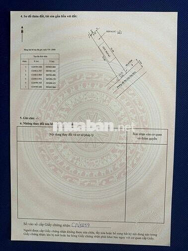 Cần sang nhượng gấp lô đất xã An Tây, Bến Cát