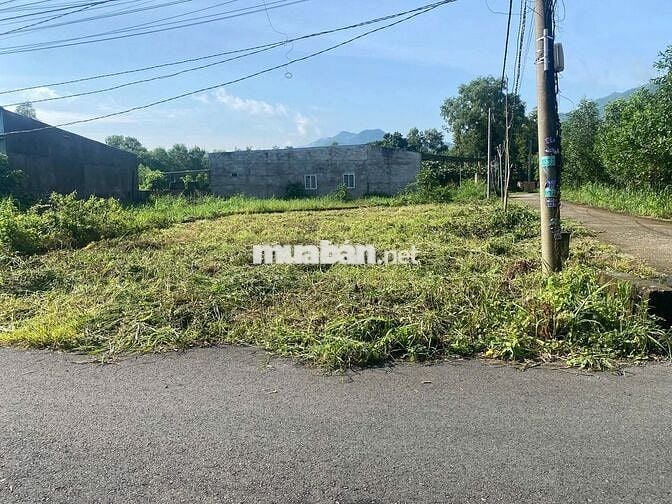 Bán lô góc thổ cư 320m2 (9,2m dài 30m) nở hậu Châu Pha,TP.Phú Mỹ