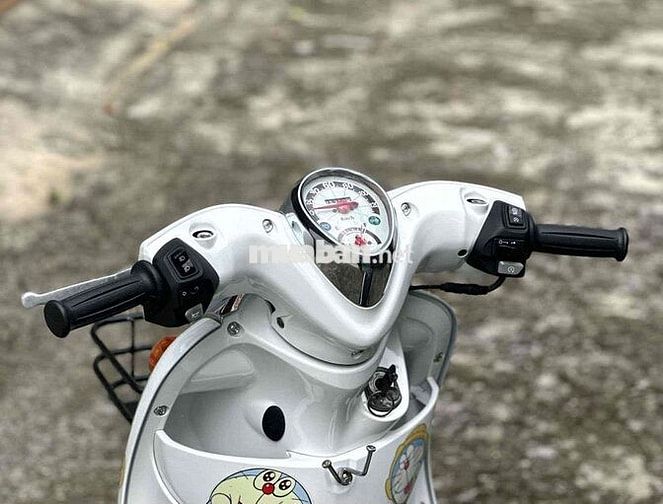 Mio classico dọn kiểng
