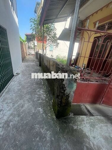 Bán đất Kiêu Kỵ cũ - vuông vắn  - Giá 3xx tỷ