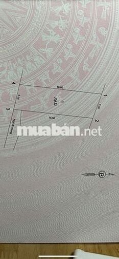 Bán đất Kiêu Kỵ cũ - vuông vắn  - Giá 3xx tỷ