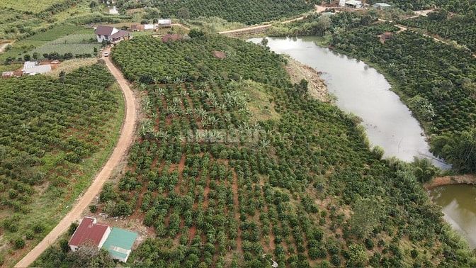 2.600m2 sẵn 100m TC Ven Đà Lạt 769tr/xào