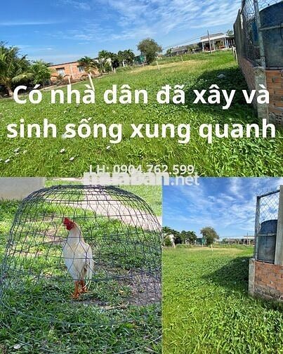 2 ĐẤT THỔ CƯ 186m2 | Cách ĐT835 1km, Ngã tư Lạc Tấn 2km | Quê Mỹ Thạnh