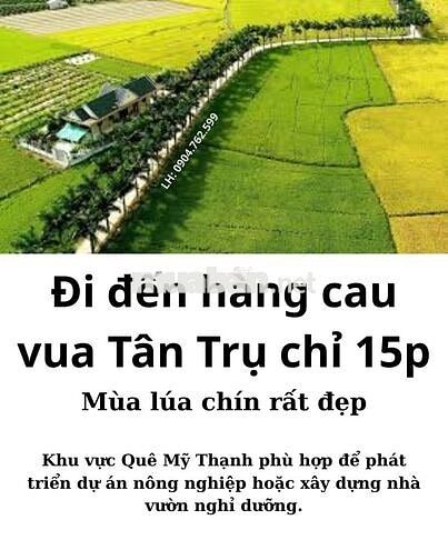 2 ĐẤT THỔ CƯ 186m2 | Cách ĐT835 1km, Ngã tư Lạc Tấn 2km | Quê Mỹ Thạnh