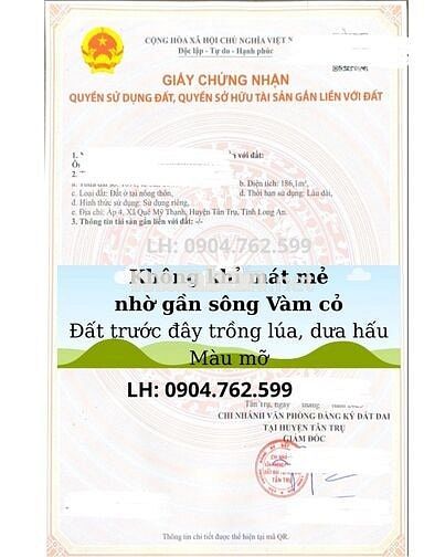 2 ĐẤT THỔ CƯ 186m2 | Cách ĐT835 1km, Ngã tư Lạc Tấn 2km | Quê Mỹ Thạnh