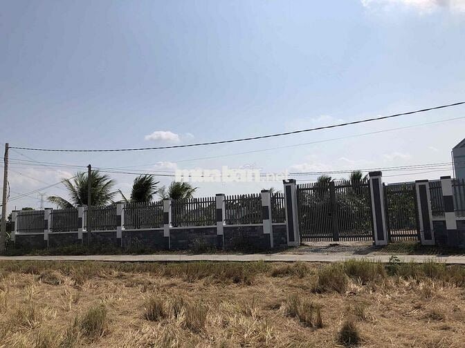 Cần bán 1000m2 đất lúa có sẵn 160m2 thổ cư. ĐÃ XÂY DỰNG RÀO QUANH ĐẤT