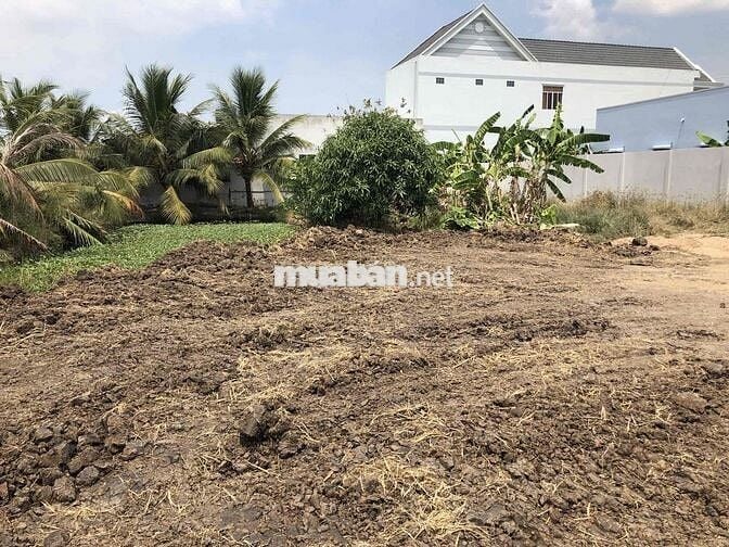 Cần bán 1000m2 đất lúa có sẵn 160m2 thổ cư. ĐÃ XÂY DỰNG RÀO QUANH ĐẤT