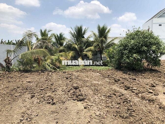 Cần bán 1000m2 đất lúa có sẵn 160m2 thổ cư. ĐÃ XÂY DỰNG RÀO QUANH ĐẤT