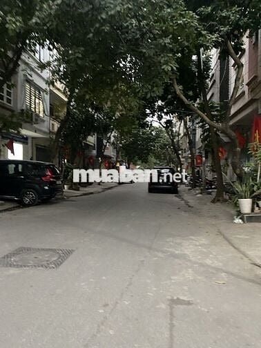 Bán gấp đất Đấu giá Đông Mỹ Liên Ninh trục chính kinh doanhgiá 11.5 tỷ