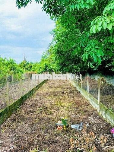 Chính Chủ Kẹt vốn bán nhanh đất MT Nguyễn Văn Khạ Giá 3ty350/615m2 SHR