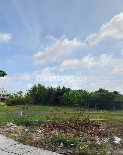 BÁN ĐẤT BẾN LỨC – NGOẠI THÀNH TP.HCM – GIÁ 2.95 TỶ